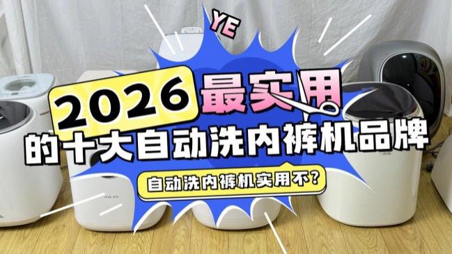自动洗内裤机实用不？盘点2026年最实用的十大自动洗内裤机品牌，排行榜10大自动洗内裤机帮你理清思路