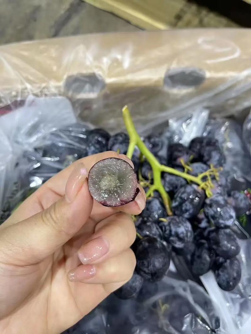 无籽黑提｜脆甜无渣！夏日神仙水果