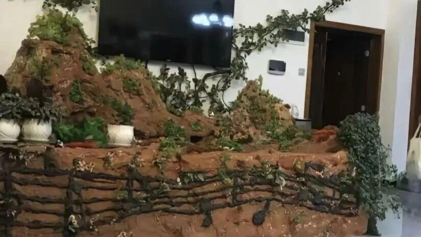 当老一辈学会了网购，哈哈一个比一个离谱