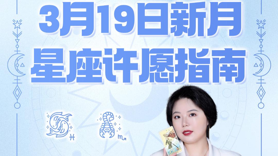 【新月许愿】双鱼座新月十二星座许愿指南——2026年开门红