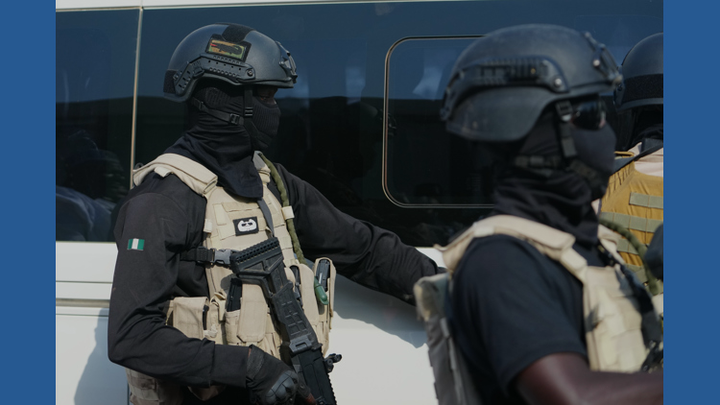 “伊斯兰国”袭击尼日利亚村庄，至少29人遇难