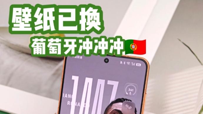 四年一届限定球迷已上线！今年我看好葡萄牙~