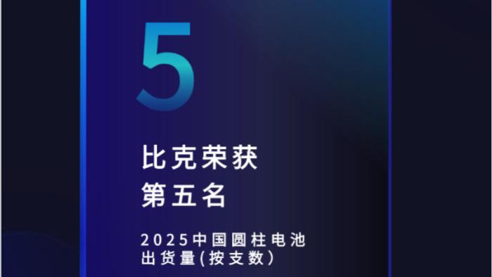 稳居前十，多线布局——从白皮书看比克电池的圆柱战略