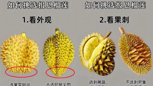 如何挑选榴莲：掌握核心判断方法，避开生果、坏果