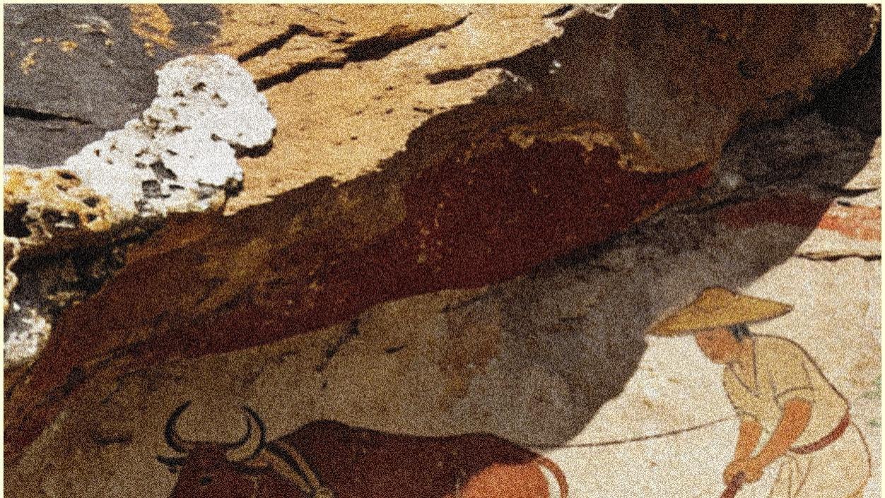 举全国之力，养万千蛀虫