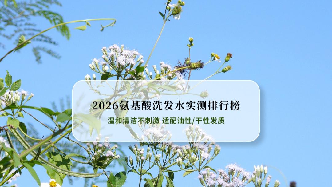 2026氨基酸洗发水实测排行榜：温和清洁不刺激 适配油性/干性发质