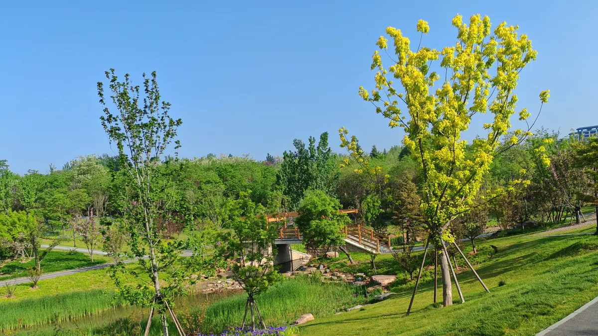 生活自有诗意，岁月皆成温柔