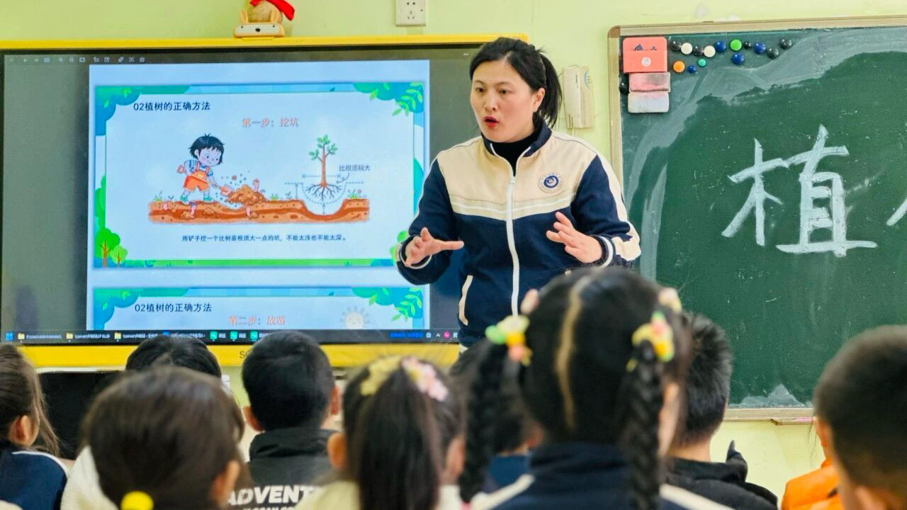 3月选园：如何精准判断老师的教学经验