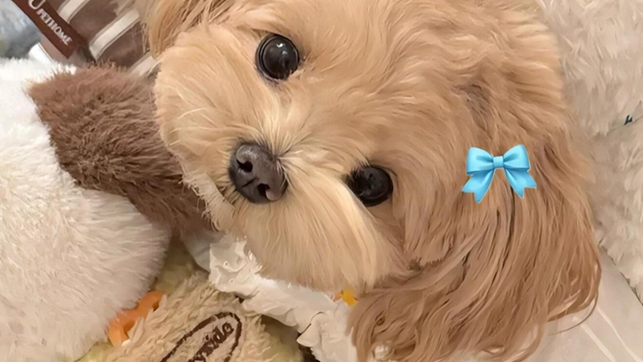 陪你走到白头的那个人，其实并不多