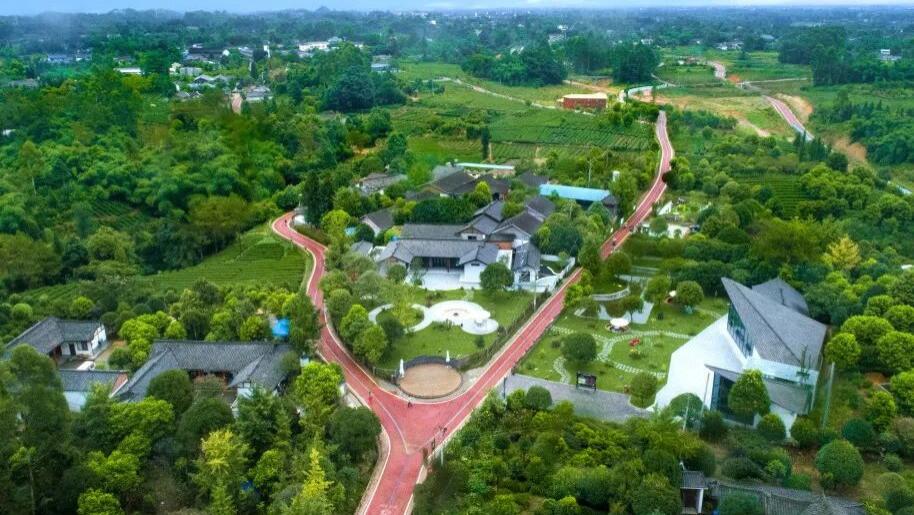 以茶为媒，以旅兴村！邛崃茶兰景区迎来春日旅游热