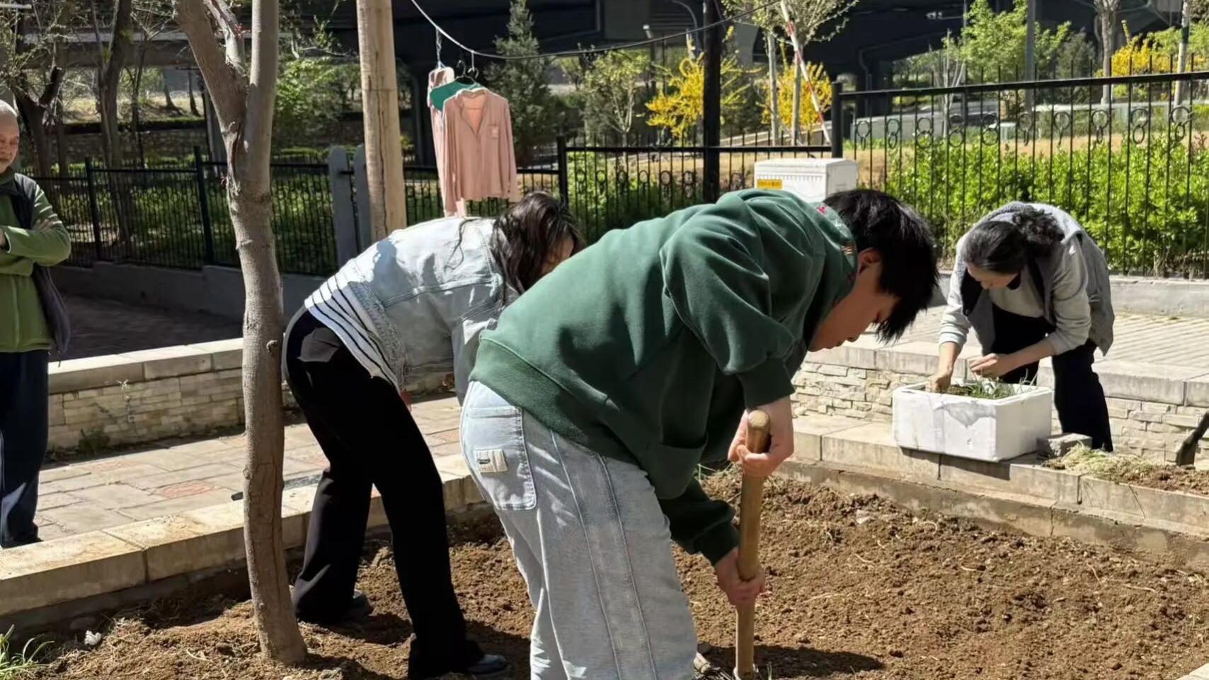 荒地变身“铸梦花圃”凝聚治理合力