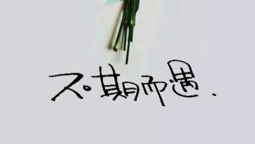 向阳自愈，远离内耗