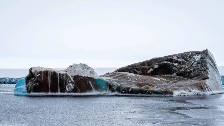 家电企业抢跑！海尔美的格力奥克斯出招，苏宁易购科沃斯松下突围