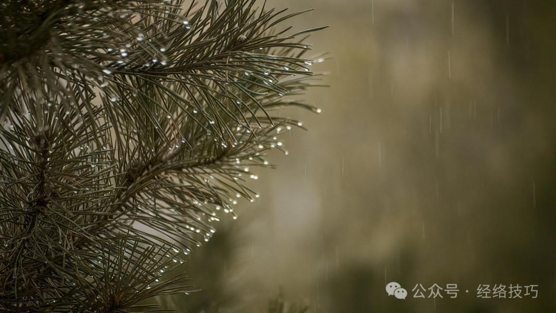 谷雨，肝气要收，脾气要动！早晚做一个动作，一调肝、二调脾，觉得浑身都通透