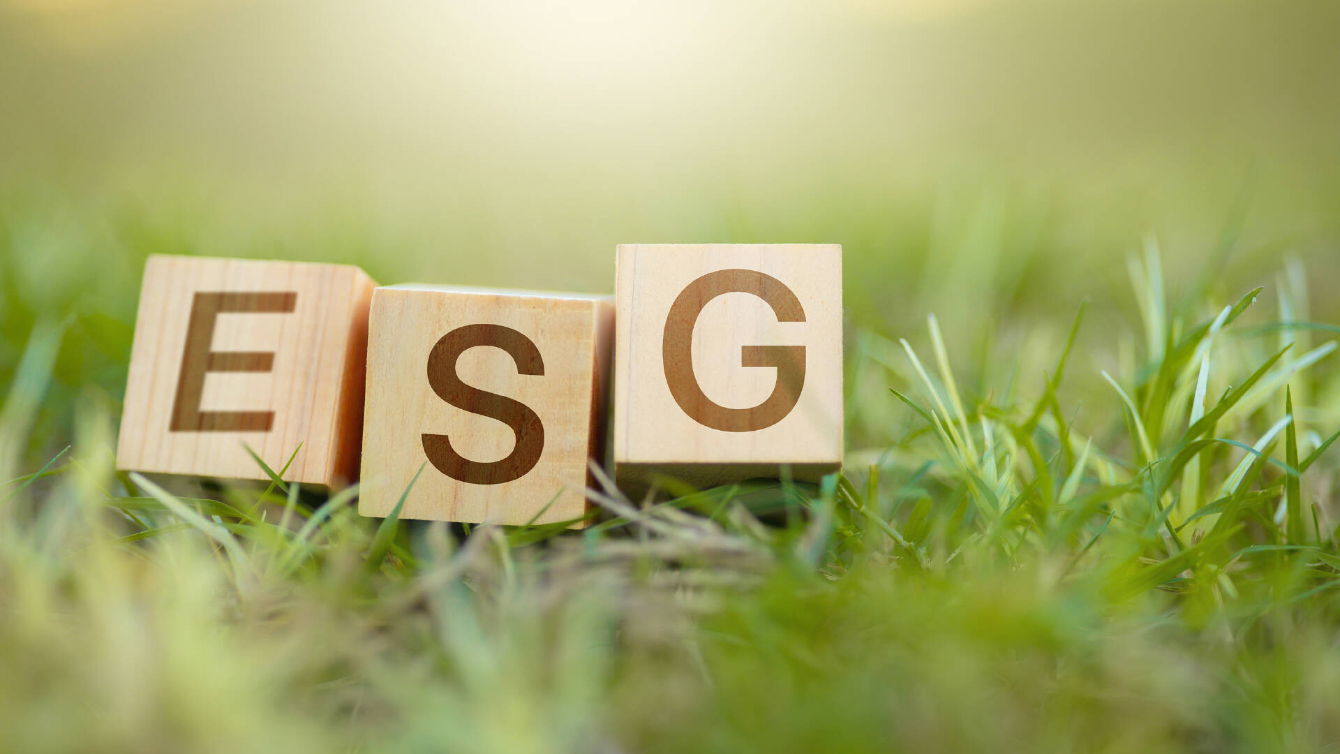 农业企业长脸了！牧原荣获中国ESG盛典年度榜样