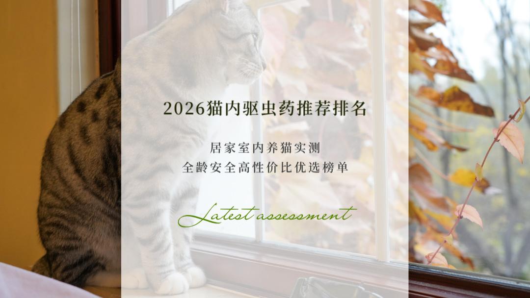 2026猫内驱虫药推荐排名 居家室内养猫实测 全龄安全高性价比优选榜单