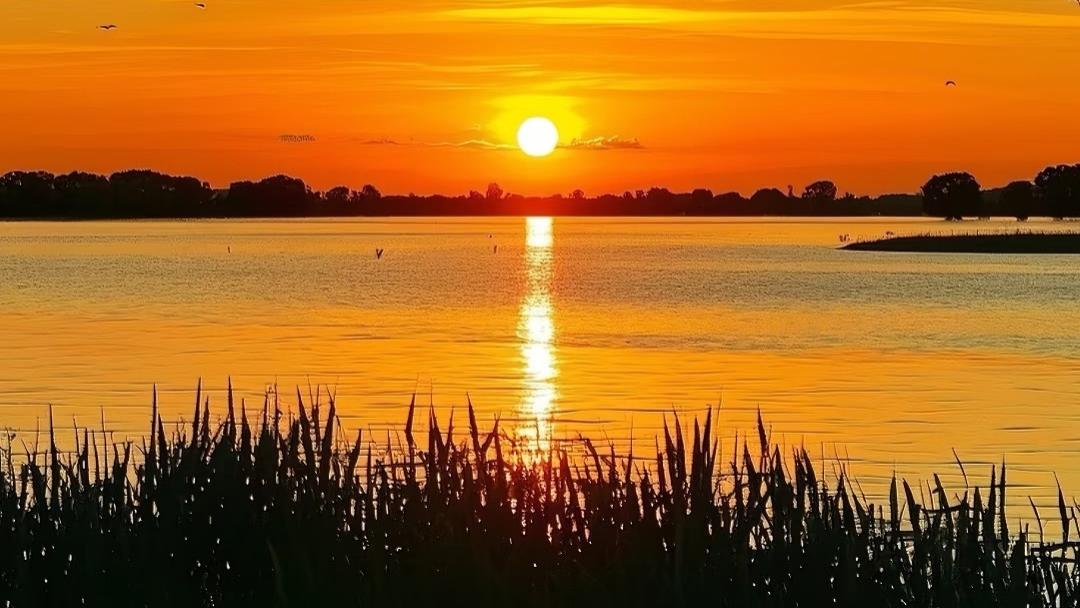 我属鸡，老婆属狗，鸡犬不宁的婚姻，我们走到了第八年