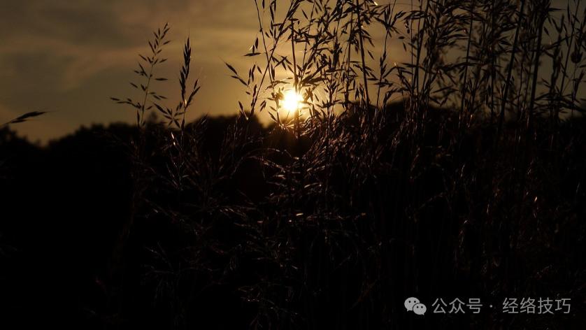 统计发现：早期脑梗不只是头晕，而是频繁出现这5个异常，占一个都要留意！