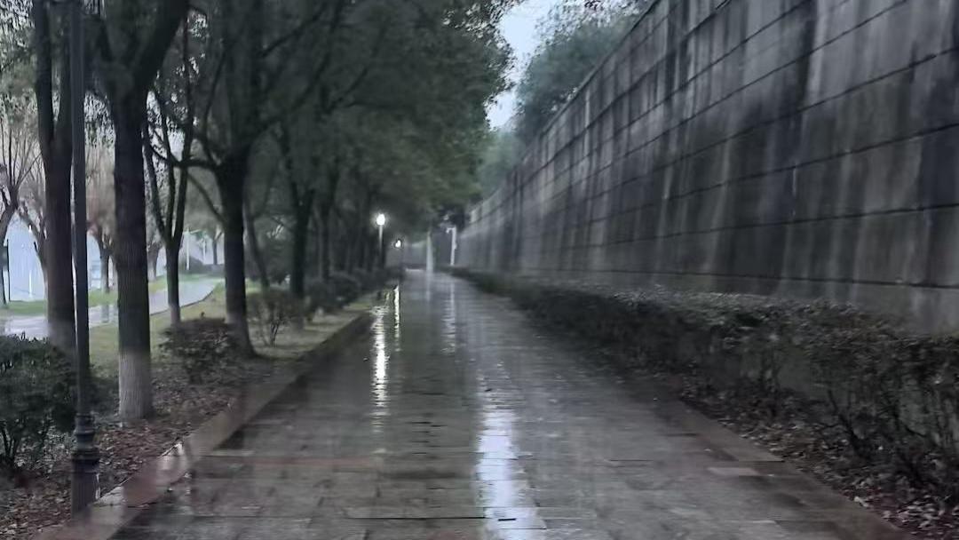 村上春树：人生最珍贵的，恰恰是那些“不确定”的旅程