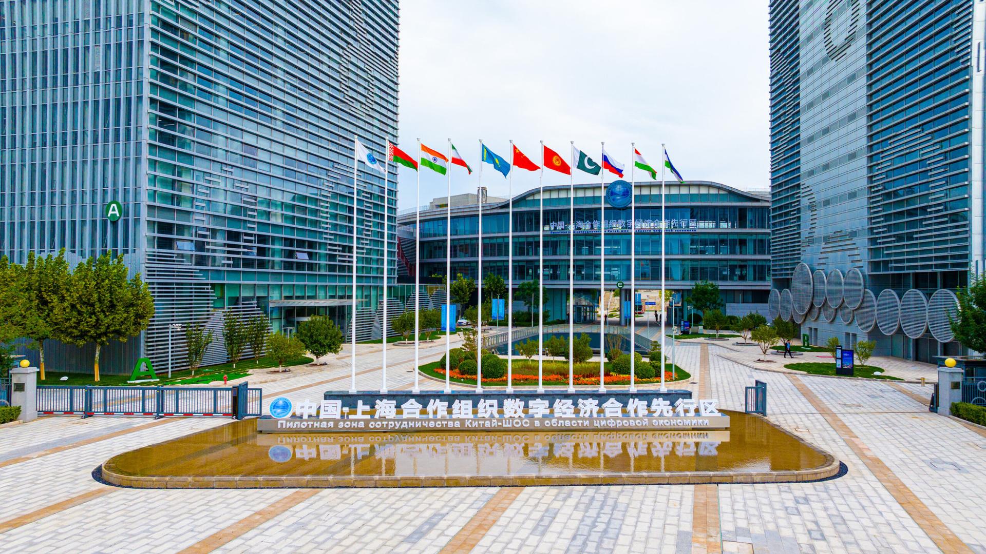 链接全球！中国国际医疗设备与器械交易（集采）平台落户高新区