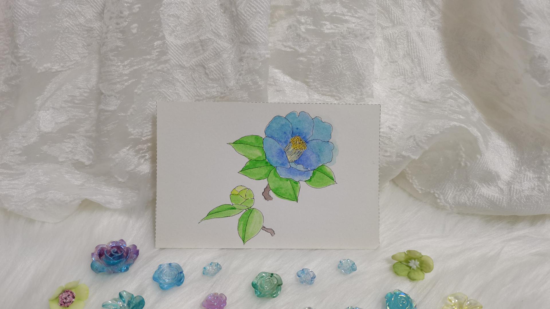 59 山茶（绘画 水彩 果花甘06）