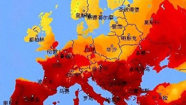 已经热死212人了？法国妹子热得受不了：在中国，连猪都有空调吹！