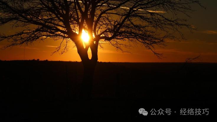 小年别光扫房子！也要给身体“大扫除”，揉通手臂这条经，浊气散了浑身都舒服
