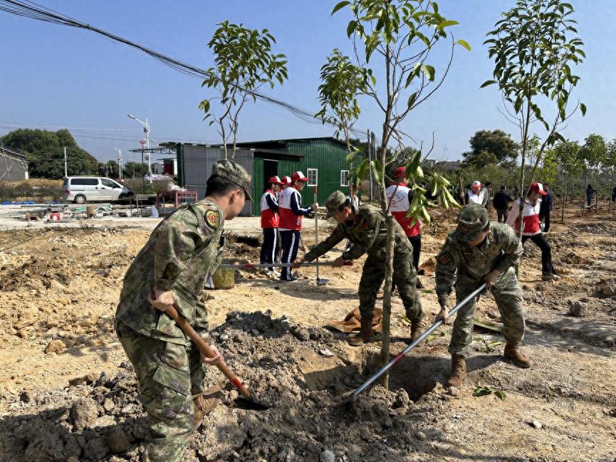 惠来县人武部以军地同心植绿护绿，为美丽惠来增添生态新底色