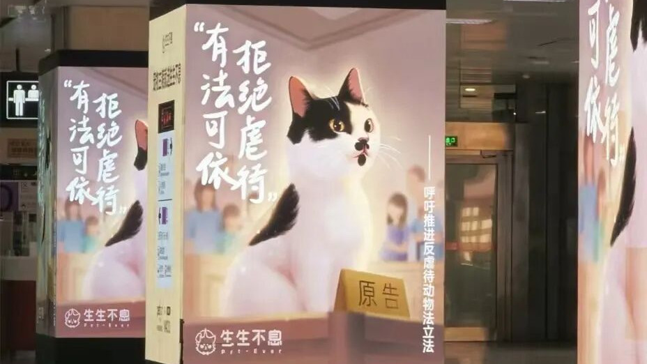 品牌人设崩塌现场？真公益VS真生意