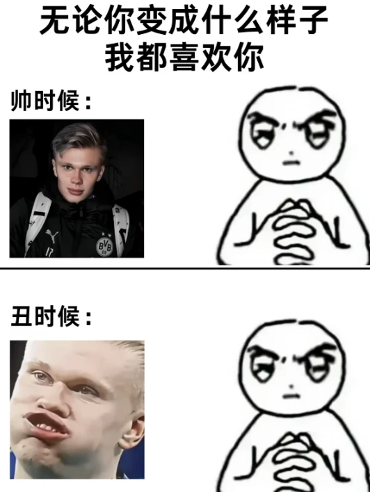 看世界杯笑晕了怎么这么多哈兰德梗图，这是表情包最多的球员吧，这届网友也太有才了，