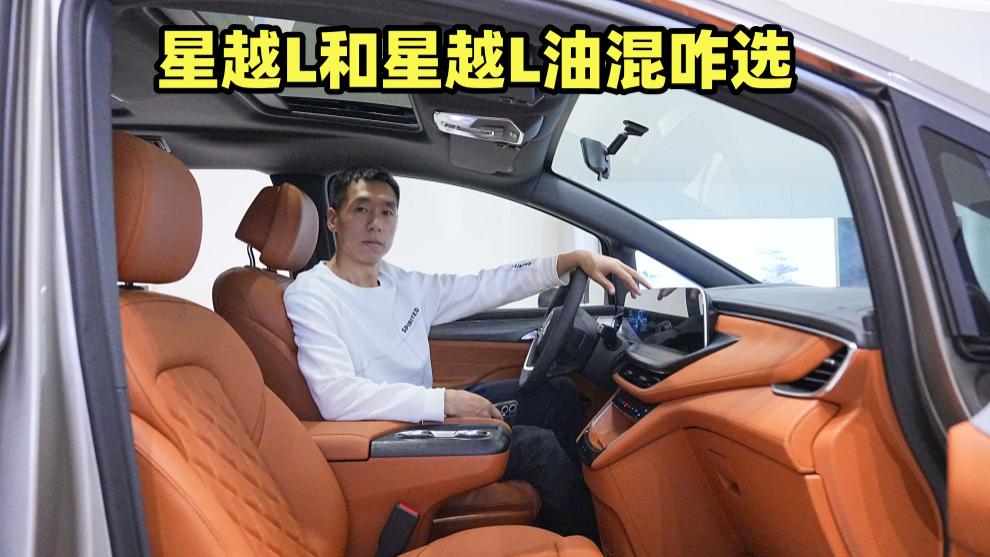 星越L和星越L油混咋选？