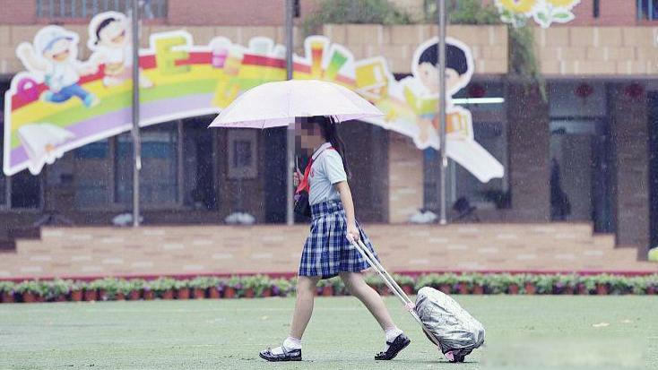 从幼儿园到中学，超前教育为何始终停不下来？