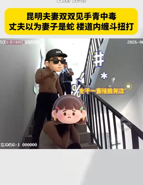 昆明。夫妻双双见手青中毒，丈夫以为妻子是蛇，楼道内缠斗扭打。据了解，夫妻俩在安宁
