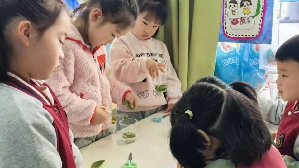 万婴株洲恒大名都幼儿园：一场叶绿素提取实验，解锁自然启蒙教育的魅力