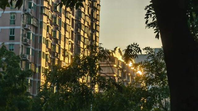 顺时养正，逆境矫枉的综卦智慧|颐卦大过