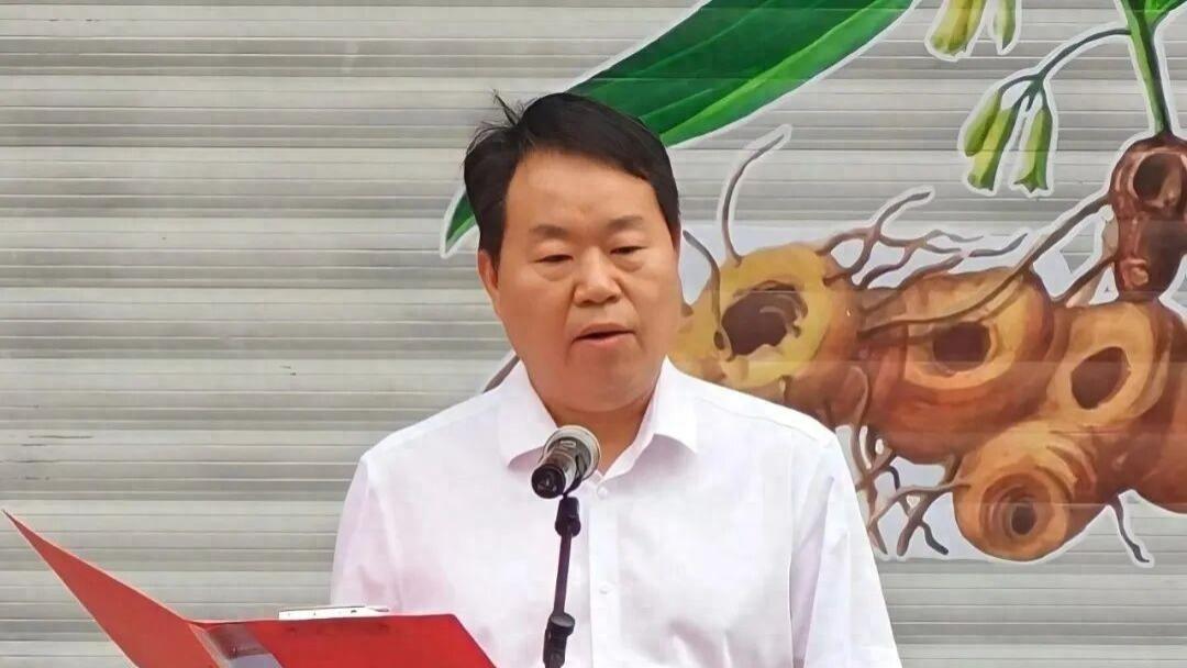 “商贸+AI”双引擎入局，激活昭平黄精百亿赛道新动能