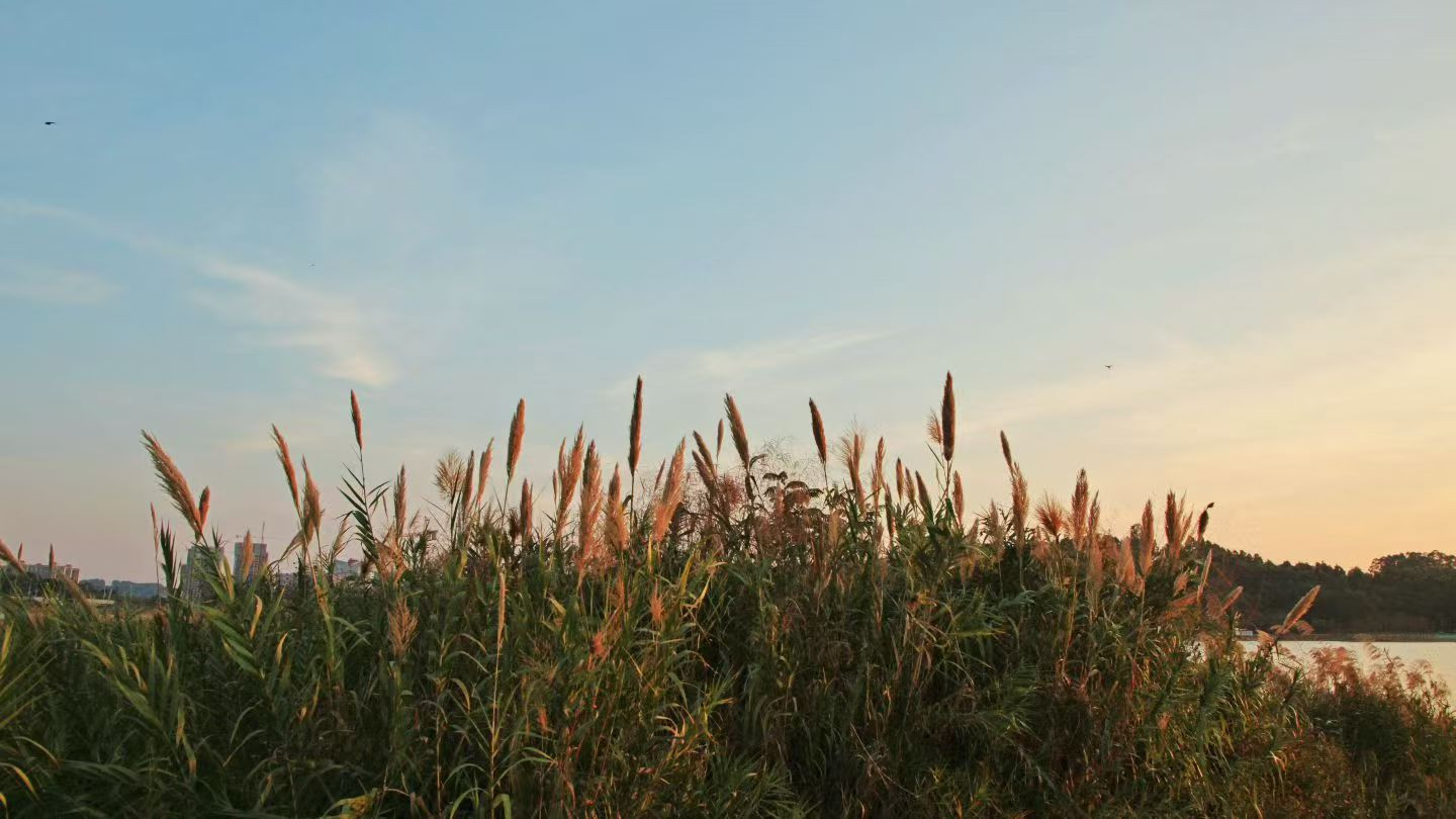 墓志铭的记载一定比史书准确吗？