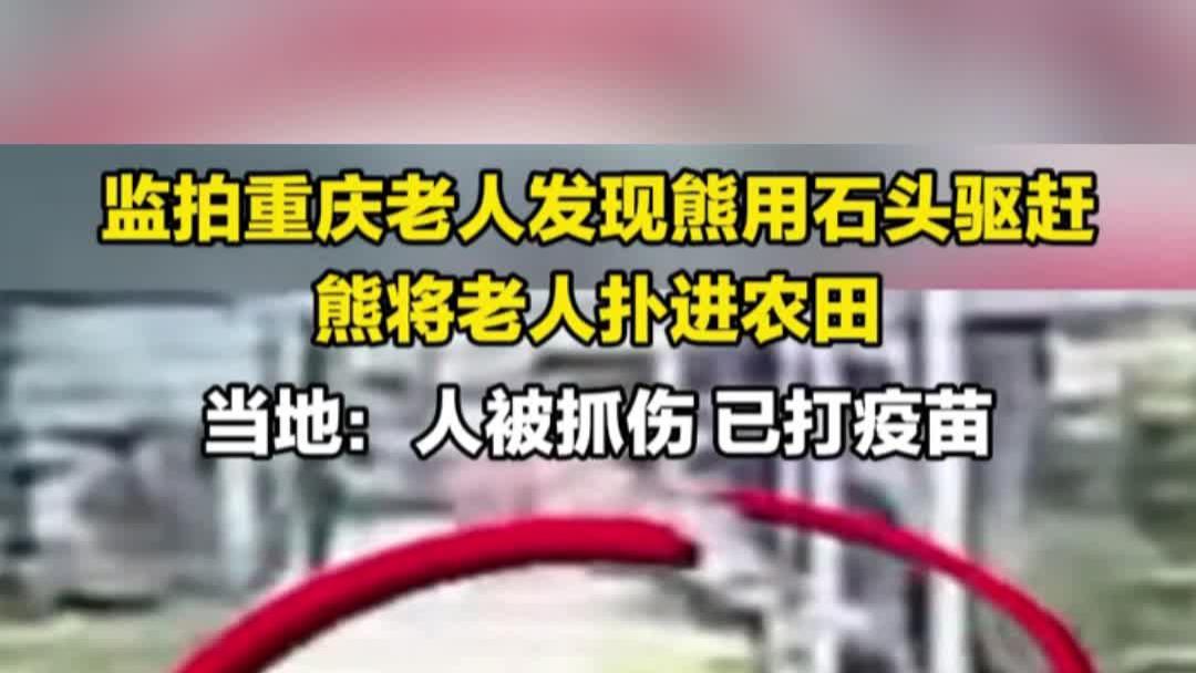老人在家门口碰到狗熊，边扔石头边跑，当地：小腿抓伤，已打疫苗