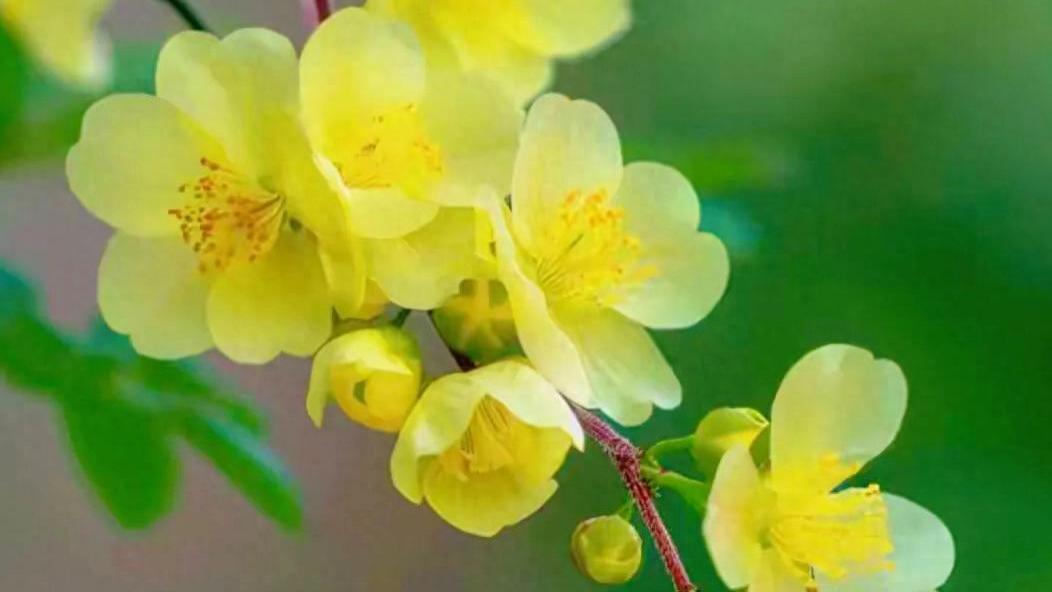 关于幸福，要牢牢抓住，默默珍惜，静静享受