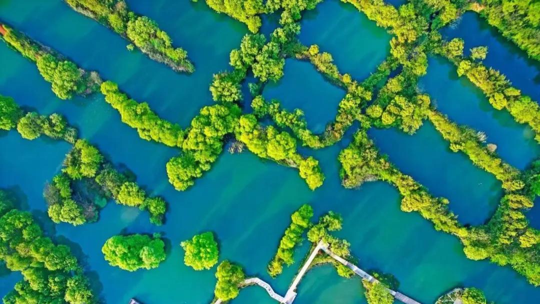 春假嗨游浙江！免费+折扣福利大放送，速来打卡！