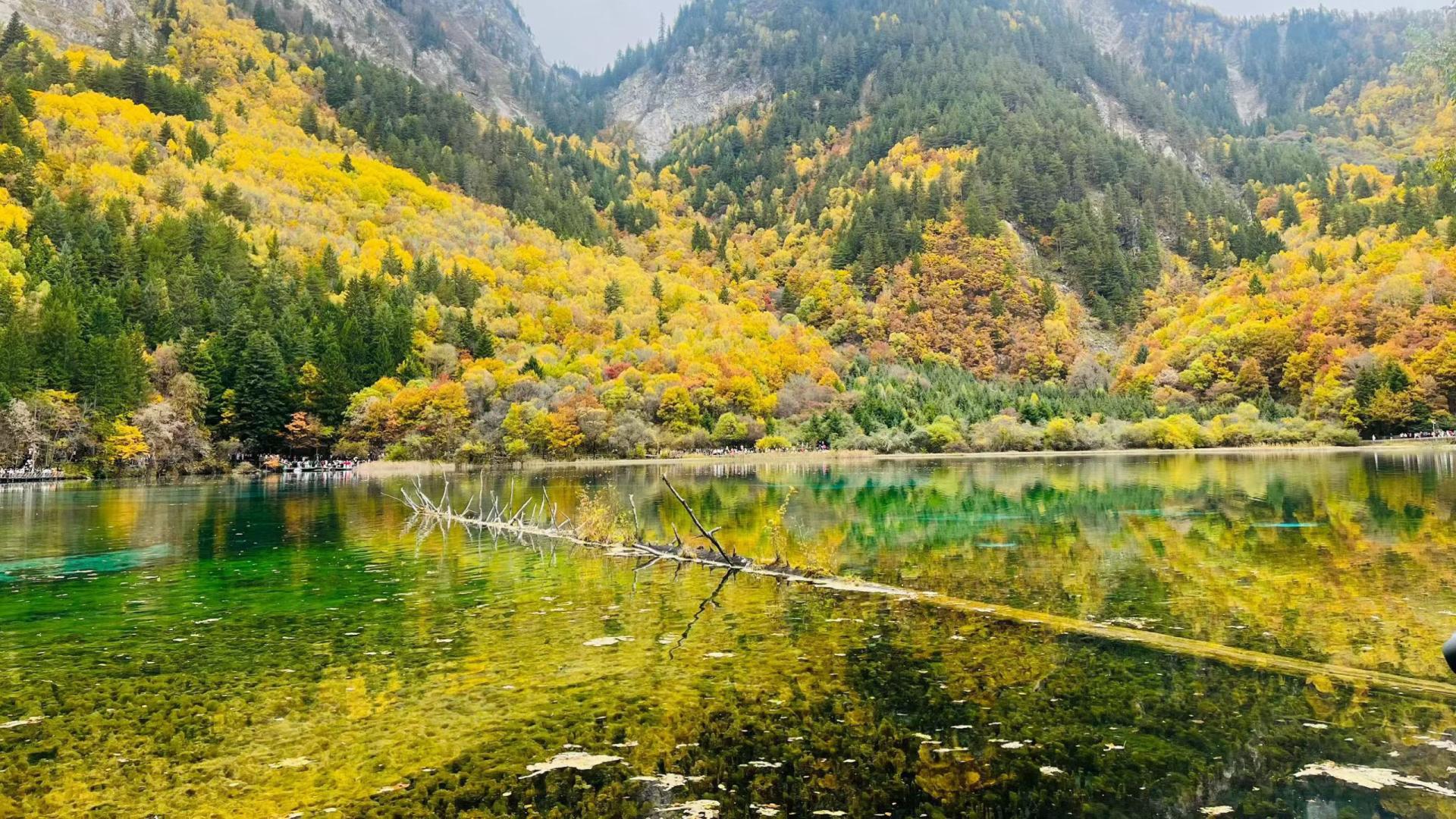 一文读懂：SAA认证是什么，澳新市场准入必备