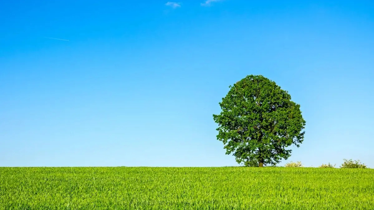 自律，方能出众 | 济语