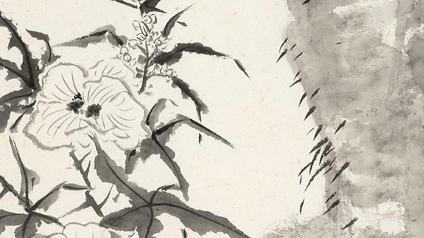 撷华丨王恒 · 逸卉闲芳