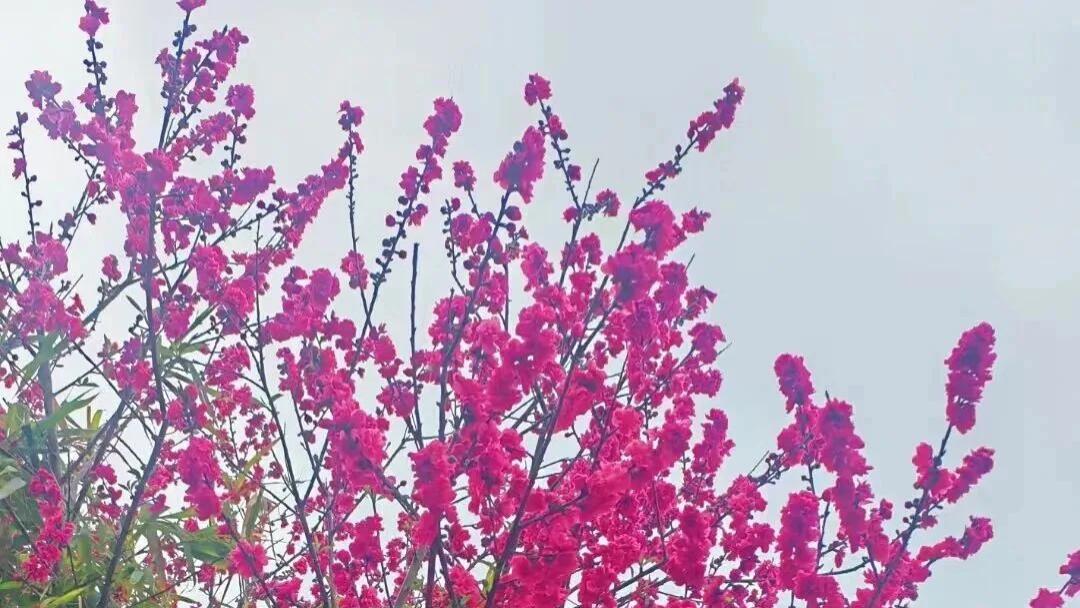 随笔：遇温暖事，做喜悦人