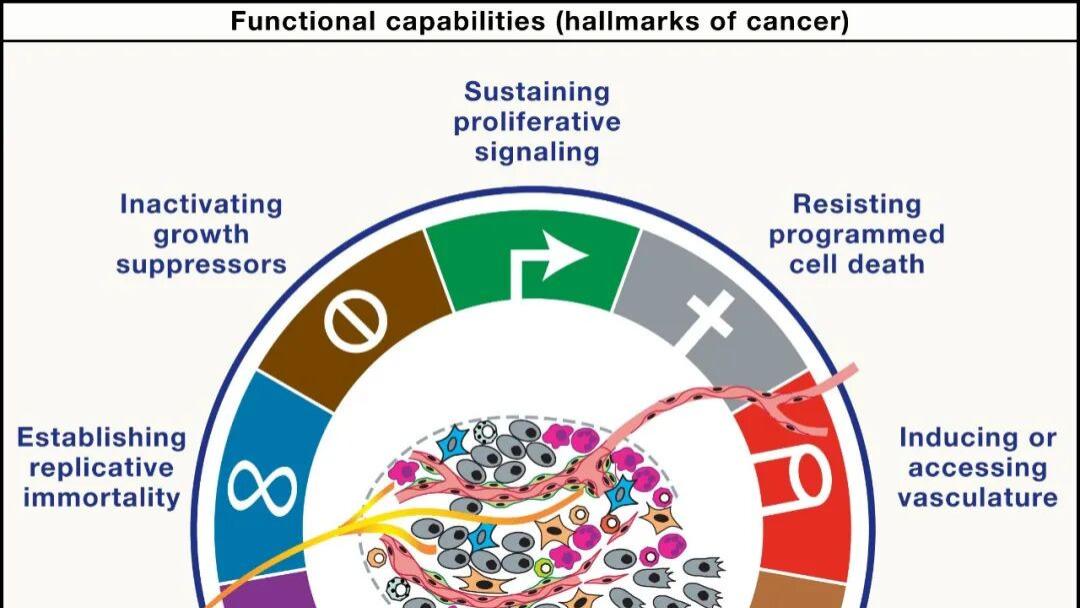 重磅发文《CELL》：重新定义癌症 —— 九大特征与四大维度