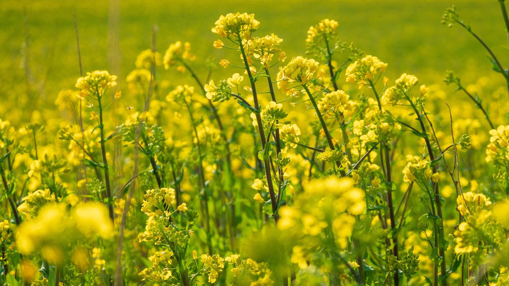 汪缘堂：不同根基对应的求财逻辑