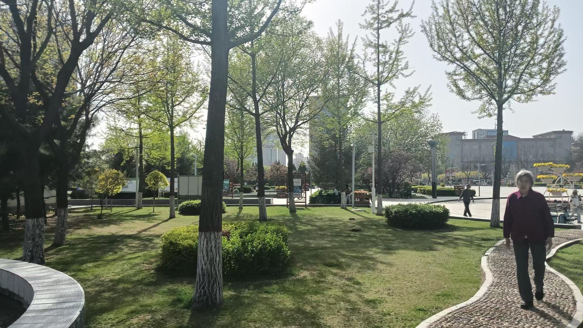 春光明媚（菩提偈七）