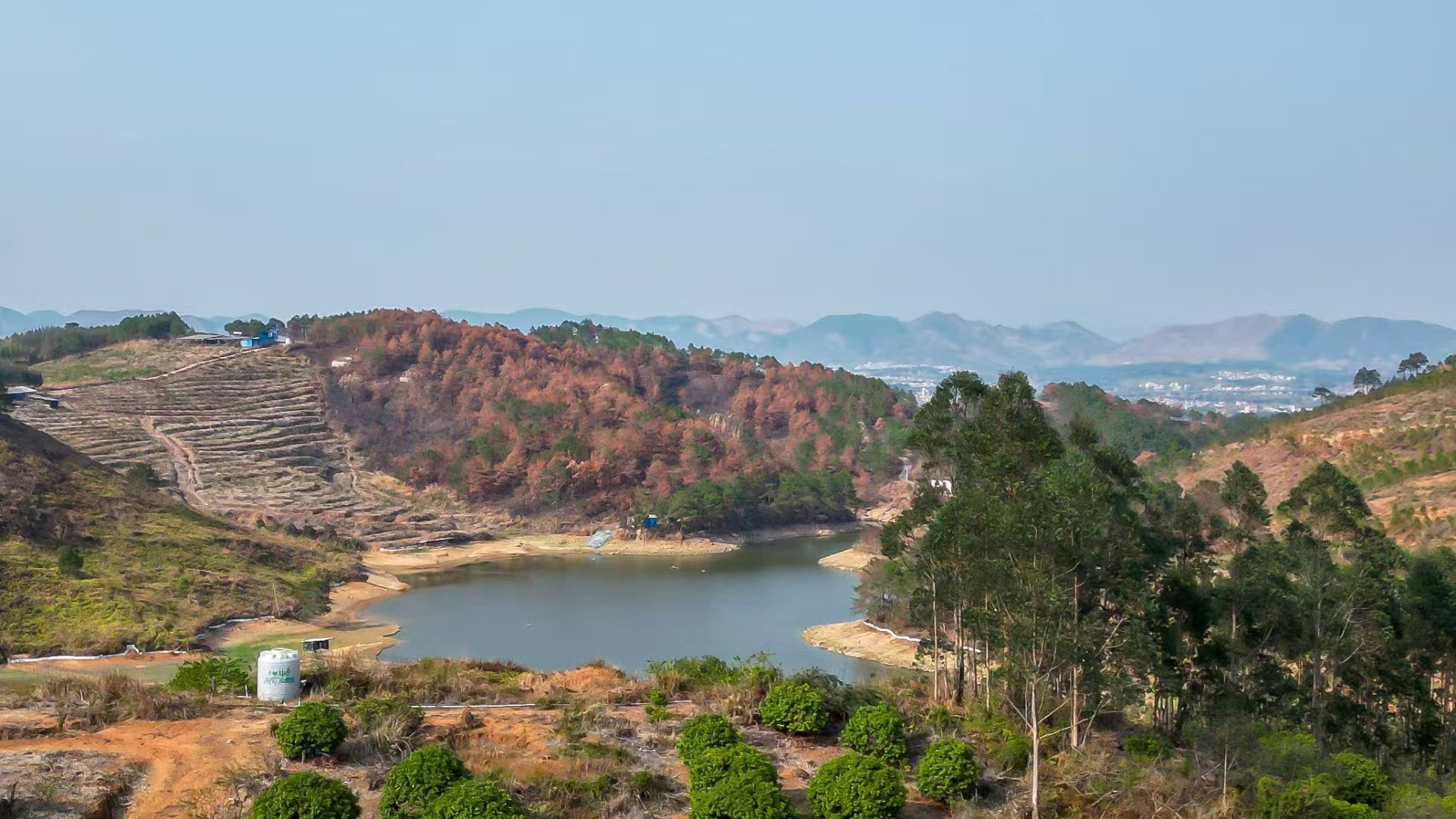 一文读懂：CB证书与IEC报告的核心区别在哪？