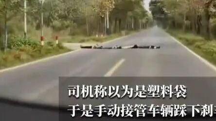4个孩子躺马路当‘减速带’，司机一脚刹车保住4条命：有些危险，孩子根本看不见