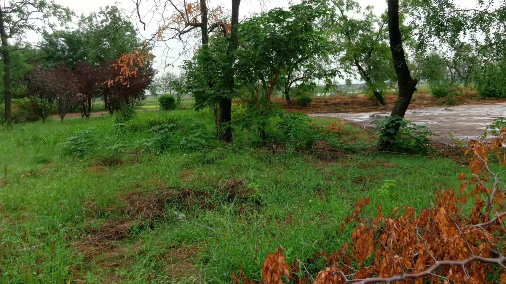 接续上，KC认证核心流程全解